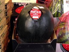 На аукционе за  тысячи продали черный арбуз