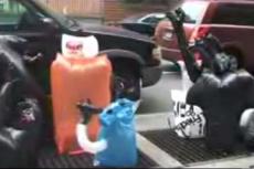 Воздушный зоопарк на улицах Нью-Йорка