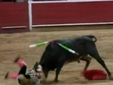 На корриде в Колумбии бык поднял на рога 12-летнего мальчика