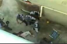 В Бразилии питбуль едва не загрыз всю семью