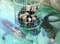 Аттракцион для сильных духом