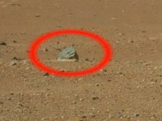 Очередные свидетельства жизни на Марсе