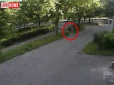 Убийцу врача в Подмосковье засняли камеры наблюдения