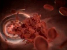 Антиалкогольная реклама «Первого канала» повеселила врачей