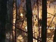 Весь экипаж упавшего близ Домодедово лайнера госпитализирован