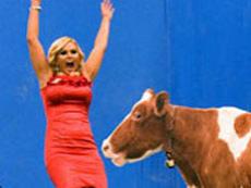 Анну Семенович сбила корова!