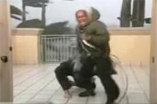 Репортера едва не унесло тропическим ураганом