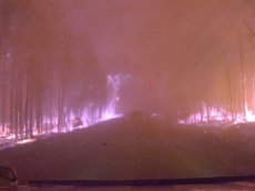 Отчаянный автомобилист проехал сквозь горящую тайгу