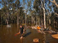В Австралии наводнение вызвало нашествие крокодилов