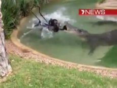 Крокодил отнял газонокосилку у рабочего