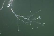 Природное пиротехническое шоу: фейерверк из молний