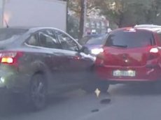 Три автомобиля столкнулись из-за голубя-пешехода