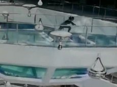 Девушка упала в аквариум к голодным акулам