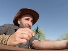 Самый болезненный укус насекомого cняли на видео