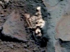 В Сети появились снимки существа, погибшего на Марсе