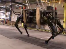 Робот-собака грузоподъёмностью почти 200 килограммов