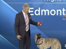 Собака превратила прогноз погоды в шоу