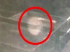 В английском пабе поселился призрак