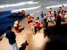 В Бразилии акула атаковала туристку во время купания
