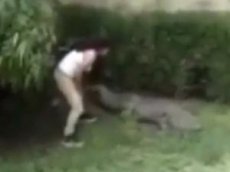 Девушка прыгнула в вольер к крокодилу