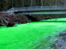 В Канаде река стала ярко-зеленой