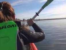 Кит прокатил на спине каяк с гребцами