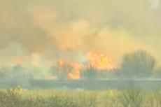 В Сибири в огне уничтожен заповедник