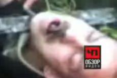 Мужчина проткнул себе голову, перелезая через забор