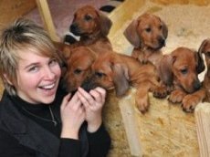 В Германии собака родила 17 щенков