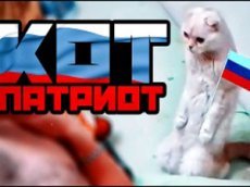 Кот-патриот стал звездой YouTube