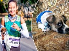 Участница марафона пробежала 30 километров со щенком на руках
