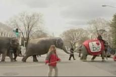 Цирковой парад в Вашингтоне