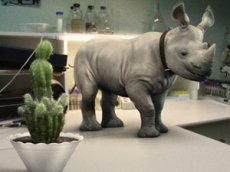 Японцы вывели домашнего носорога
