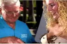 Бикини из пчел