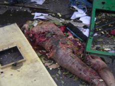 В Тольятти скинхеды заставили студентку-шахидку взорвать себя – такова версия ФСБ