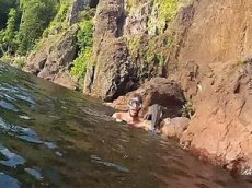 "Летающий" крокодил атаковал туриста