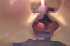 В Париже открыта выставка о сексе для детей