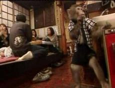 В Японии обезьяны работают официантками