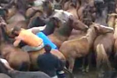 Фиеста для настоящих мачо