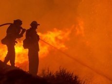 Американка сняла на видео поездку сквозь лесной пожар
