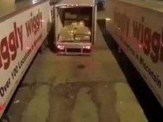 Дальнобойщик-дилетант развеселил интернет