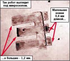 Робот путешествует внутри человека