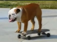 100 хитов YouTube за 4 минуты