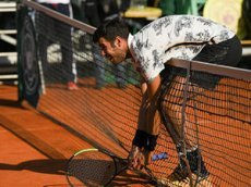 Белка выбежала на корт во время матча