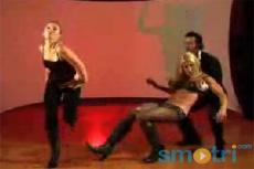 В Сети появилась еще одна пародия на Бритни