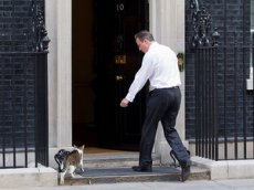 Полицейский пнул любимого кота британского премьера