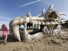 На пляже нашли гигантский череп дракона