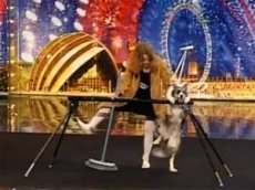 Отборочный тур “Britain’s Got Talent”. Танцы с собакой