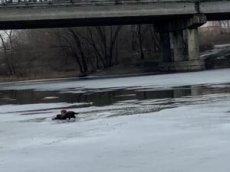Мужчина провалился под лёд, спасая тонущую собаку