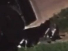 Водитель троллейбуса выкинул пьяную девушку из салона